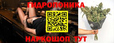 молекула духа Старая Купавна