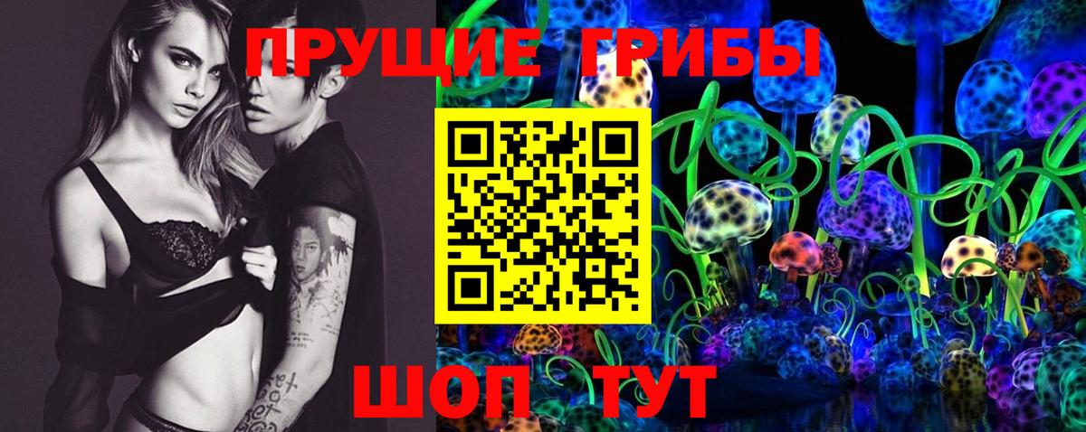 Псилоцибиновые грибы Cubensis Новороссийск